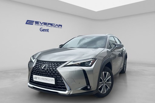 Lexus UX 300e
